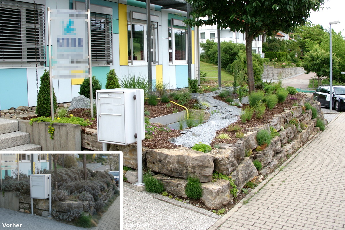 und Pflanzbeet Volker Westerfeld Gartengestaltung, pflege