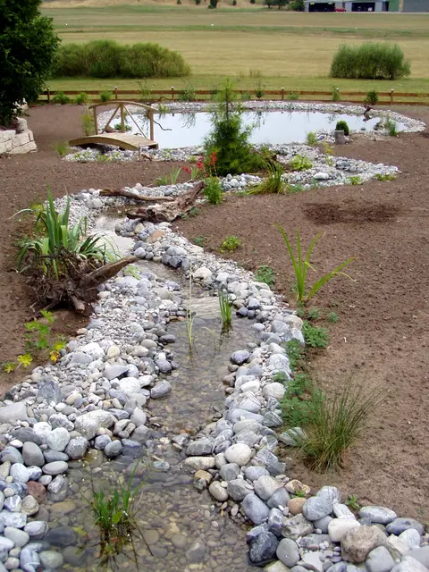 Gartenteiche, Bild 11