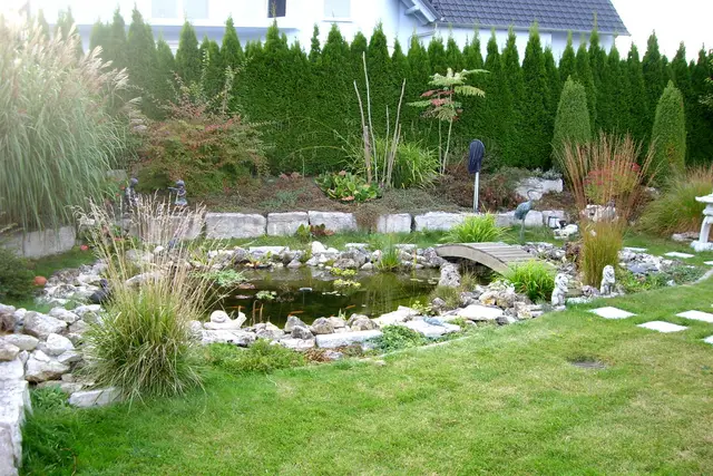 Gartenteiche, Bild 15