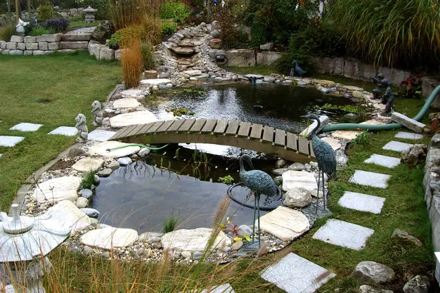 Gartenteiche, Bild 16