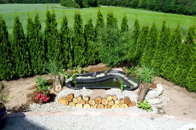 Gartenteiche, Bild 25