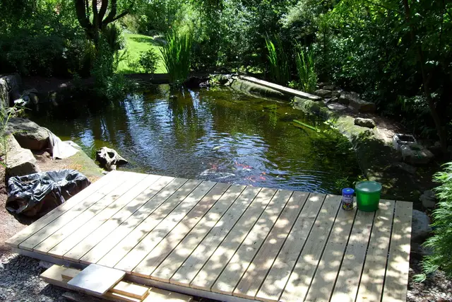 Gartenteiche, Bild 26