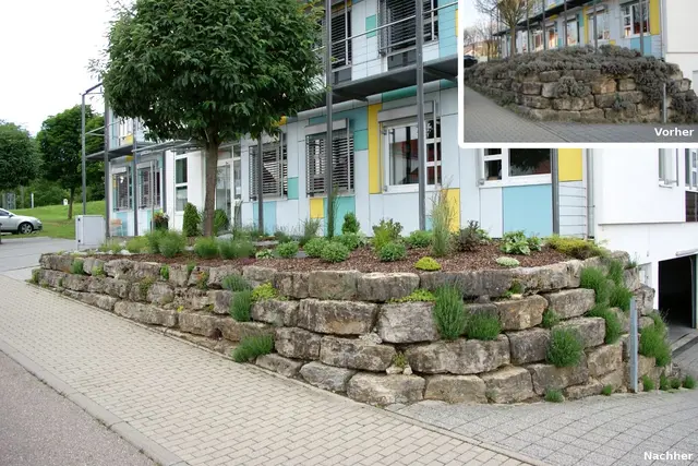 Vorgarten & Pflanzbeet, Bild 8